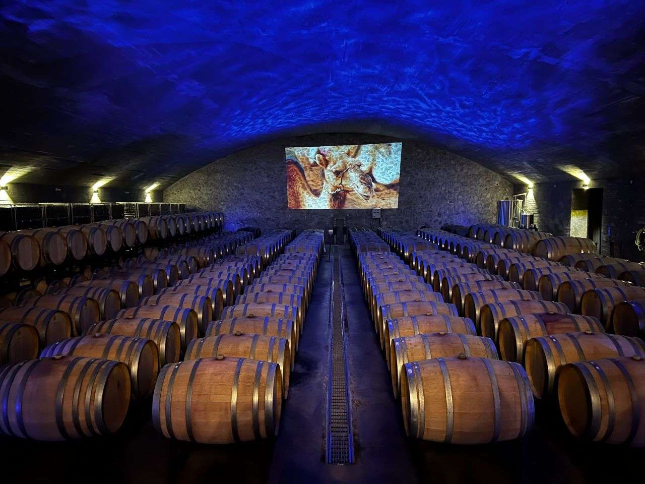 China from the Field: Emerging Wine Tourism Market in China