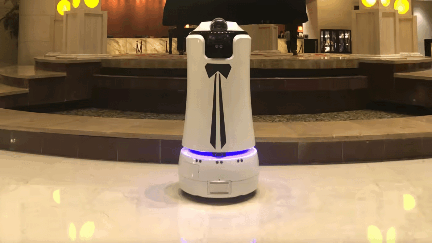 China from the Field: Hotel Robots