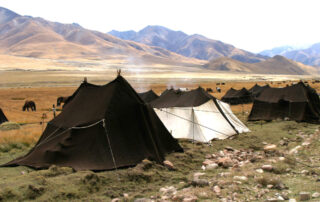 WildChina-Corporate-Wilderness-Survival-Camp-4